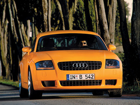 2003-Audi-TT-Coupe-Yellow-smjpg.jpg (37644 bytes)